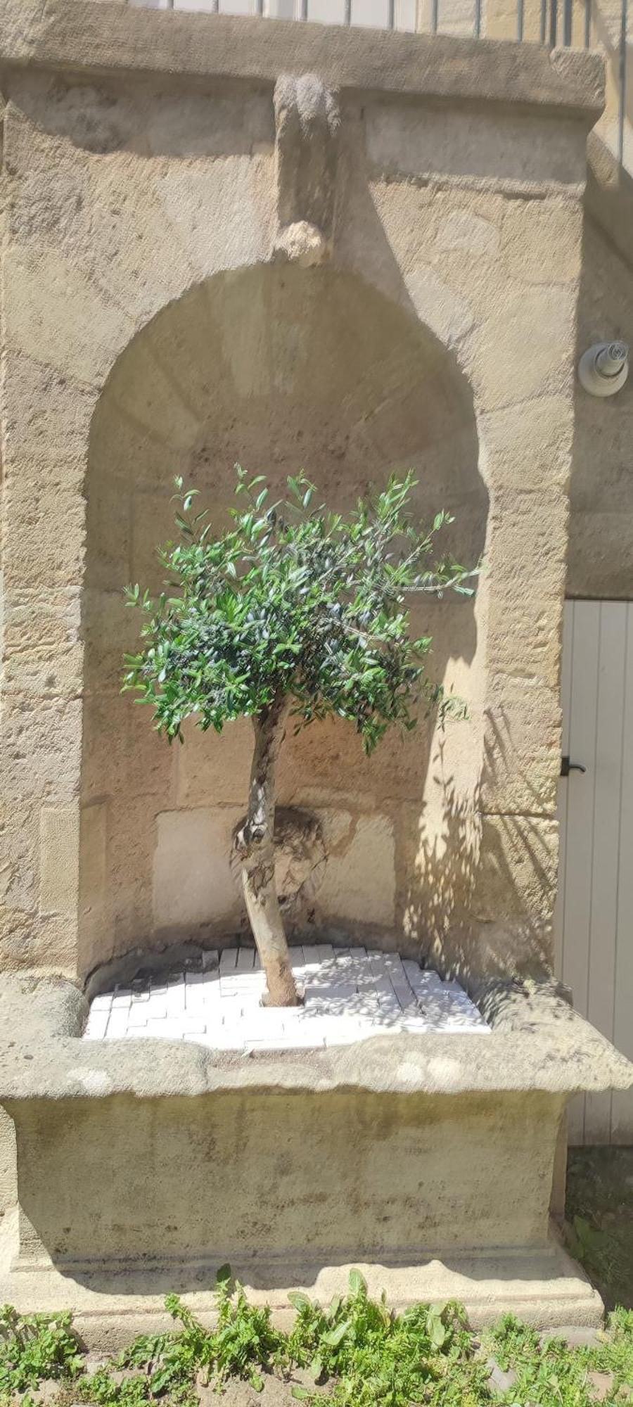 Appartement Renove 1 Chambre Centre Historique Bordeaux Zewnętrze zdjęcie